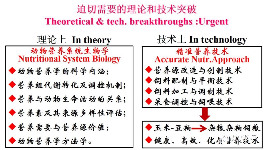 澳门一码一肖100%精准，高效解答解释落实_标配版80.67.17