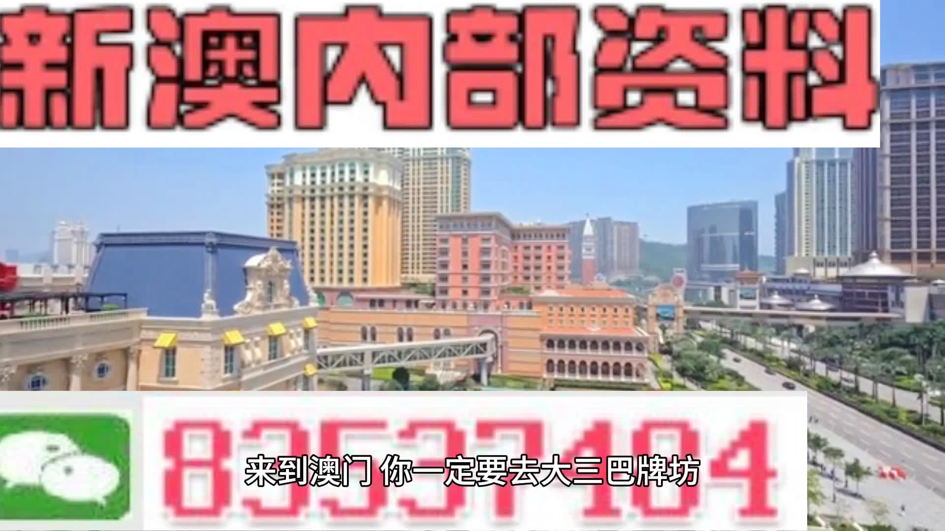 2024新奥门资料最精准免费大全，高效解答解释落实_定制版28.29.22